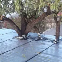 نصب و تعمیر وفروش ایزگام