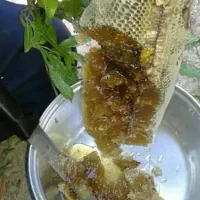 عسل کنار بشرط اصل بار جدید رسید