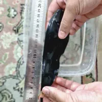 بلک گوست بیست سانتی مناسب مانستر