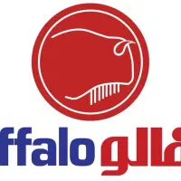 استخدام ویزیتورمویرگی
