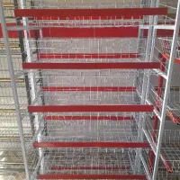 قفسه و استند خرید و فروش نو و دست دوم|فروشگاه و مغازه|گرگان, |دیوار