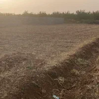 هزار متر زمین باغی در سپیدان منطقه هماشهر|فروش زمین و ملک کلنگی|شیراز, شهرک سراج‎|دیوار