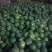نارنچ