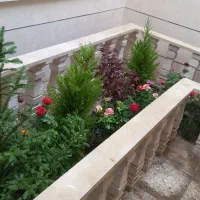 خدمات چمن کاری نهال کاری گل کاری باغبانی هرس|خدمات باغبانی و درختکاری|مشهد, توس (بلوار توس)|دیوار