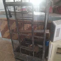 قفس حیوانات