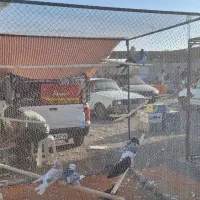 گنجه و تور کبوتر|پرنده|تهران, کوی بیمه|دیوار