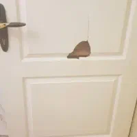 رنگ کاری و تعمیرات مصنوعات چوبی|خدمات پیشه و مهارت|خرمدره, |دیوار