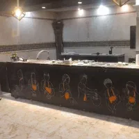 همکار خانم