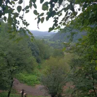 .کلبه ی جنگلی واقع در قلب جنگل های لفور مازندران|فروش خانه و ویلا|آلاشت, |دیوار