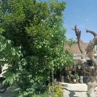 کلنگی قدیمی تمیزقابل سکونت فقط متری ۱۷ م درمرکزشهر|فروش زمین و ملک کلنگی|اصفهان, خرم|دیوار