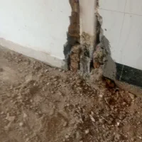 خدمات