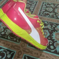 کتونی پوما puma|کیف، کفش، کمربند|تهران, شهرک دانشگاه|دیوار