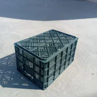 سبد حمال،خرما،گوجه،لبنیات،فلفل دلمه|عمده‌فروشی|شیراز, شهرک صنعتی شیراز|دیوار