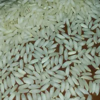 برنج عنبر بو درجه یک