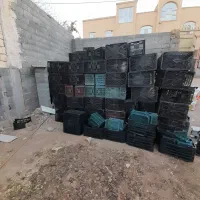 فروش سبد موز