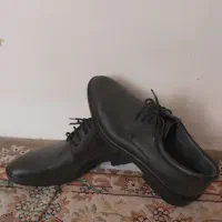 کفش پاما مردانه