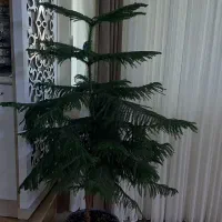 ۴۰۰۰۰۰۰تومان