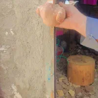 زردپلنگ جفتگاه