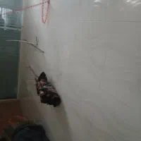 مغازه مناسب اریشگاه