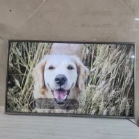 سرویس و تعمیر تلویزیون|خدمات پیشه و مهارت|رباطکریم, رباطکریم|دیوار