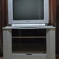 تلویزیون