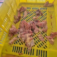 اسکلت گردن مرغ ضایعات مرغ