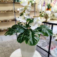 گلدان دکوراسیونی|گل مصنوعی|الیگودرز, |دیوار