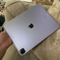 ipad pro 2022 13 inch 256 gig cellolar