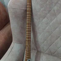 سه تار نو|سازهای سنتی|تویسرکان, |دیوار