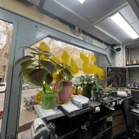 استخدام منشی آقا