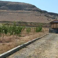 باغ در روستای علی اباد رند قابل معاوضه|فروش زمین و ملک کلنگی|ماکو, |دیوار