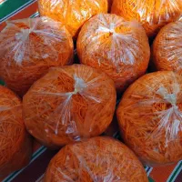 هویچ تازه و خورد شده و کاملا بهداشتی