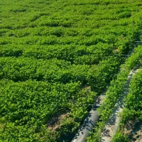 فروش ۵۰۰۰ متری