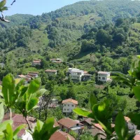 ۵۰۰متری/منطقه طلایی مازندران/لوکیشنی بینظیر