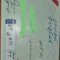 پیدا شده