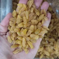 کشمش سبز|خوردنی و آشامیدنی|بیرجند, |دیوار