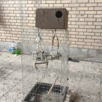 قفس پررنده قیمت توافقی