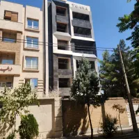 راننده خانم سرویس شرکت خانم با وسیله خودرو ماشین