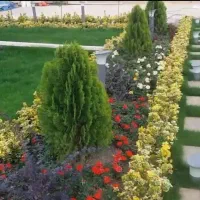 خدمات باغبانی باغچه کاری گلکاری هرس‌کاری به تمام|خدمات باغبانی و درختکاری|تهران, فردوس|دیوار