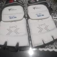 روپایی سنسوری مربوط به رشته تکواندو