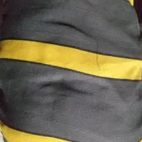 چادر ساینا s