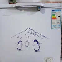 فریزر صندوقی