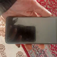 شیامی a2