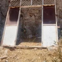 فروش یک عدد در حیاط درحد نو