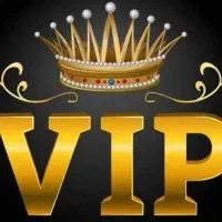 ویزیتور vip