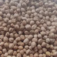 نخود کرمانشاه لوبیا چیتی خمین لوبیا قرمز