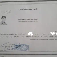 برقکارنصاب نصب لوسترسرویسکولرآبی برق کاررفع اتصالی