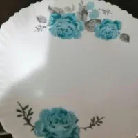 ظروف ارکوپال 18نفره|ظروف سرو و پذیرایی|سیرجان, |دیوار