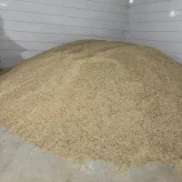 جو و کاه سفیدویونجه|خدمات باغبانی و درختکاری|مرودشت, تخت جمشید|دیوار