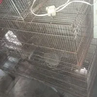 قفس جوجه پرون با پایه